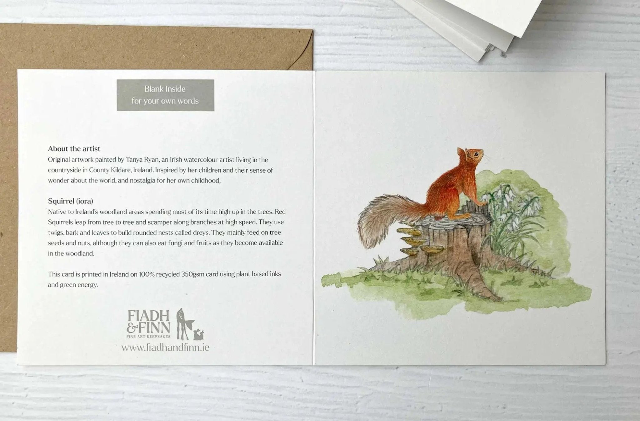Set of 8 Irish Wildlife Greeting Cards (100% Recycled Card) - fiadhandfinn