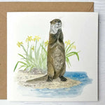 Set of 8 Irish Wildlife Greeting Cards (100% Recycled Card) - fiadhandfinn