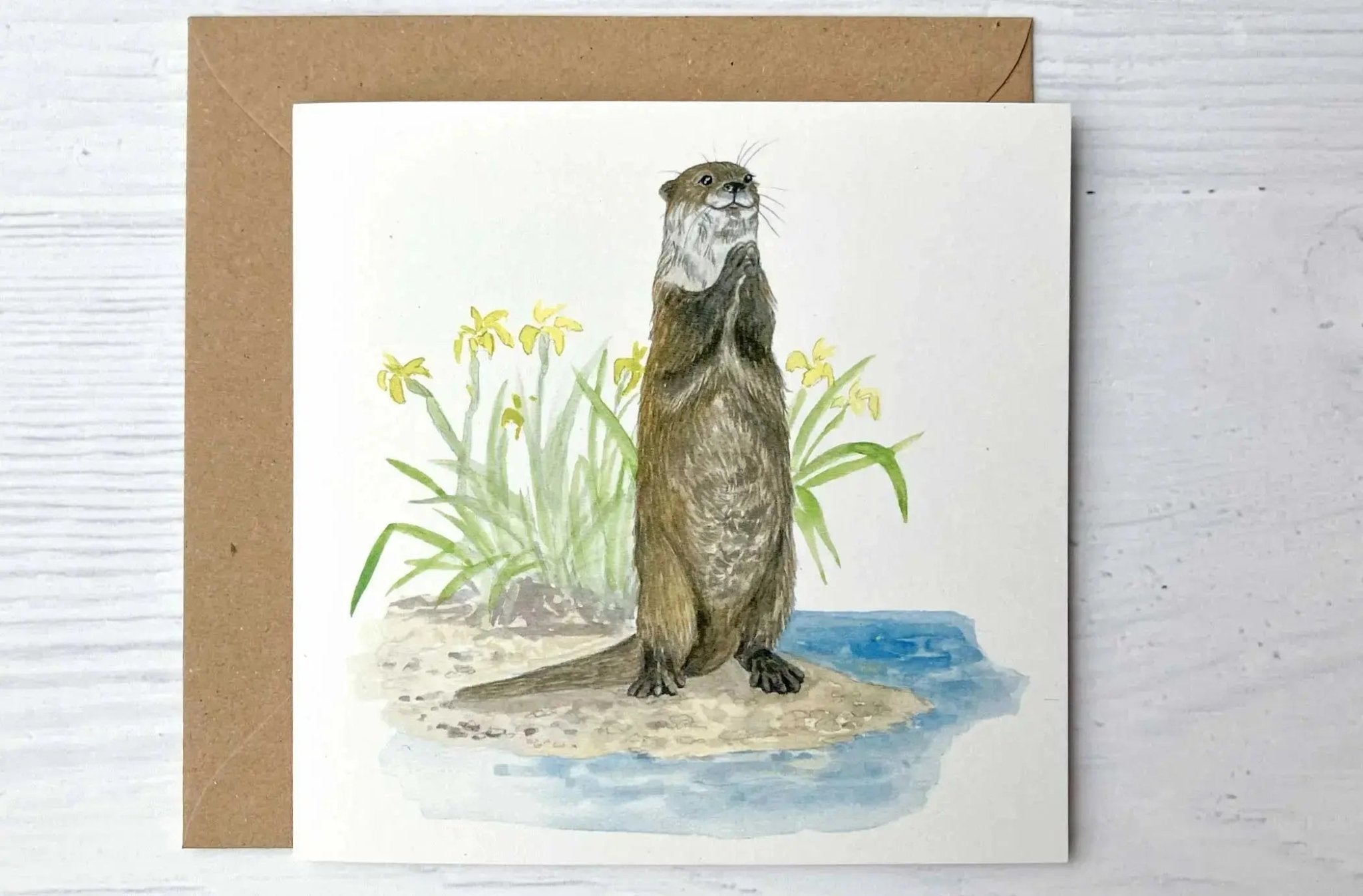 Set of 8 Irish Wildlife Greeting Cards (100% Recycled Card) - fiadhandfinn